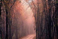 广州富力主场战平，难以获得突破