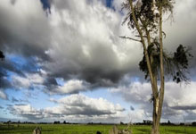 球队士气高涨，预计再次夺冠