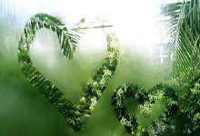 球队士气高涨，预计再次夺冠